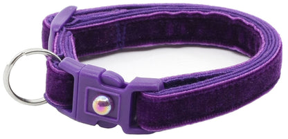 Dark Purple Violet Cat Collar