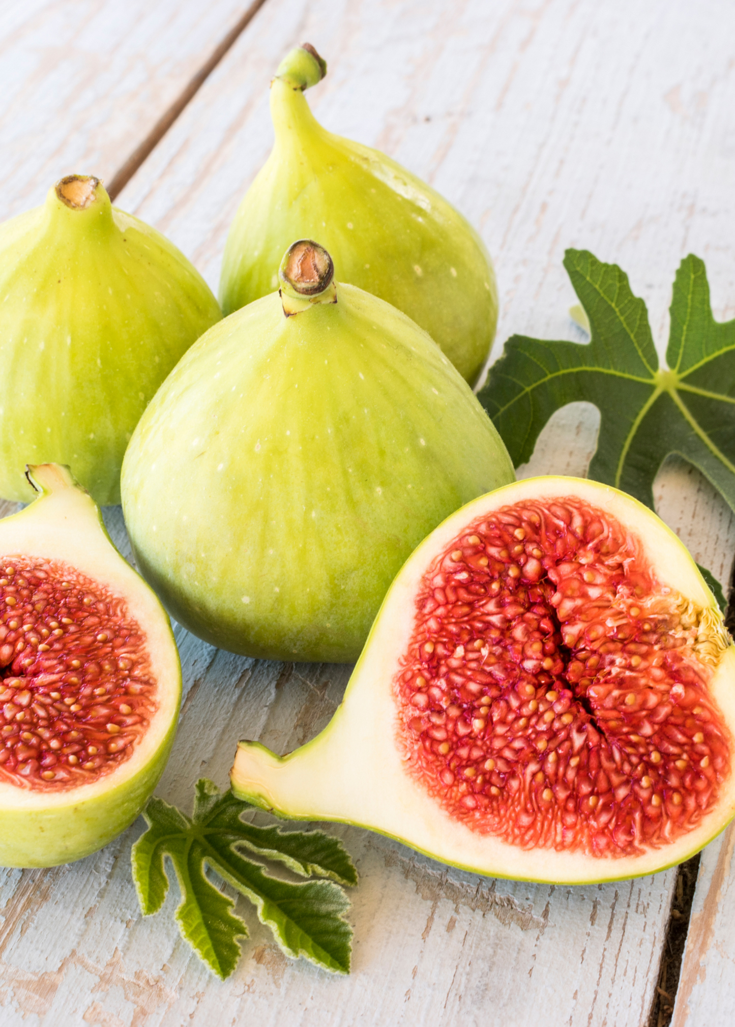 Fig LSU Gold Tree, Golden Skin, Honeyed Flavor, Ficus carica, Heat Tolerant, Edible Landscaping, Fruit Tree