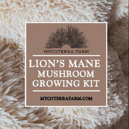 Organic Lion's Mane Mushroom Grow Kit