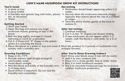 Organic Lion's Mane Mushroom Grow Kit