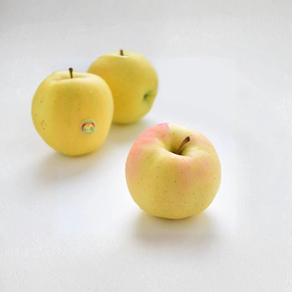 Japanese Aomori Toki Apple Tree – Malus domestica Bare Root | 32 Inch Semi-Dwarf Tree