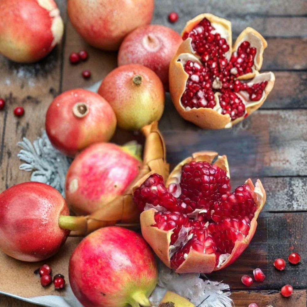 Tunisian Soft-Seed Pomegranate Plant – Punica granatum Live Fruit Plant | Sweet Nearly Seedless Red Pomegranate