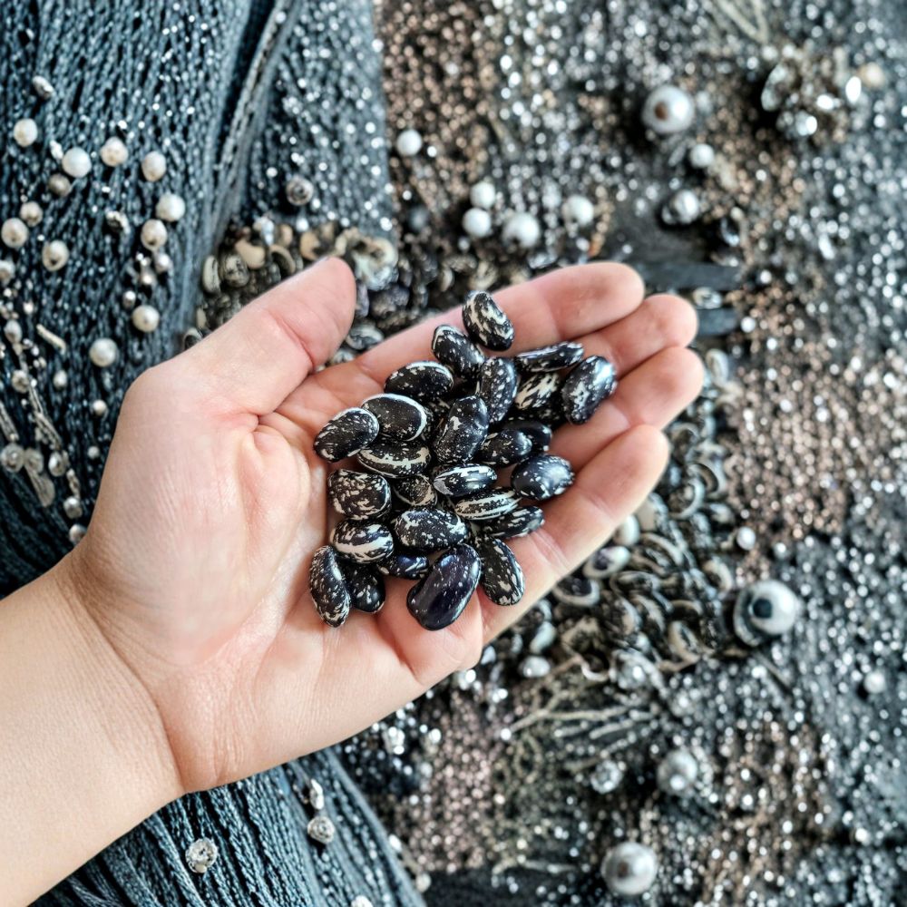Haudenosaunee Skunk Bean Seeds | 25 Organic Heirloom Phaseolus vulgaris | Native American Climbing Bean