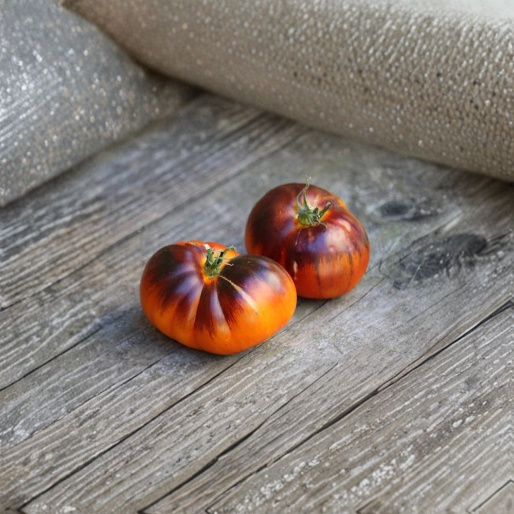 Lucid Gem Tomato Seeds – 15 Organic Heirloom Seeds by Wild Boar Farms | Easy to Grow Garden & Container Tomato