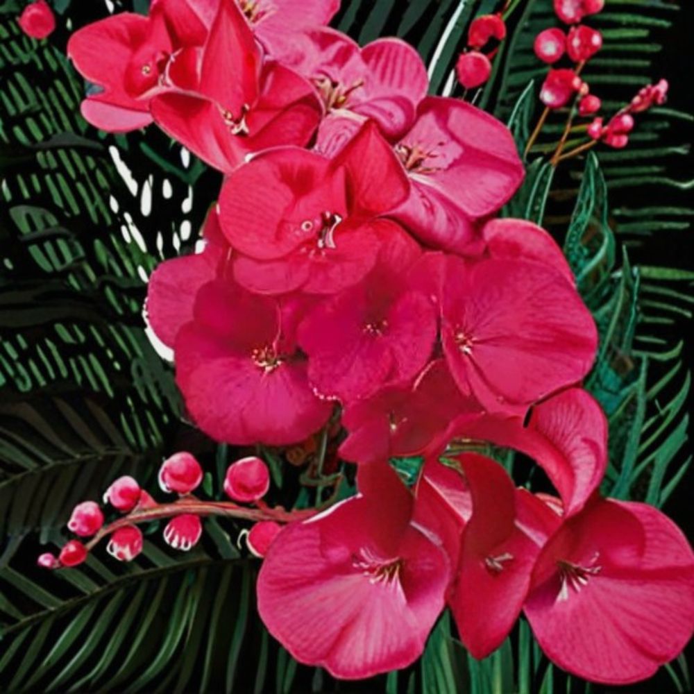 Geranium Ringo 2000 Violet Pelargonium Seeds | 1,000 Violet Blooms | Compact Pot-Friendly Variety