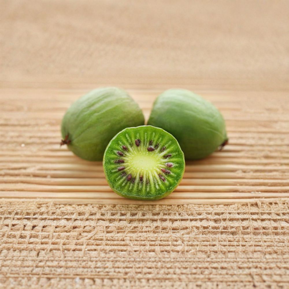 Issai Hardy Kiwi Live Rooted Plant | Self-Pollinating Fuzzless Kiwi Vine Zones 3-8