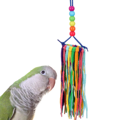 Super Bird Creations Sb1202 Small Rainbow Aglets Bird Toy Satisfies Chewing And Preening Instincts Of Parrots Ringnecks Medium Conures Quakers Encourages Curiosity Ideal For Medium Bird Size