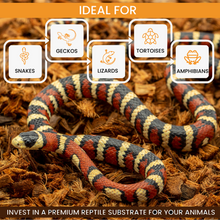 Redichip Premium Medium Sized Coconut Chips Ready To Use