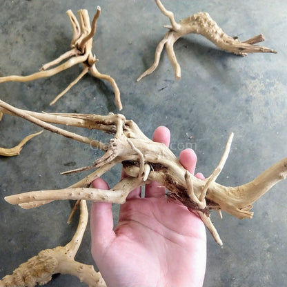 Spiderwood Driftwood Medium (6-10")