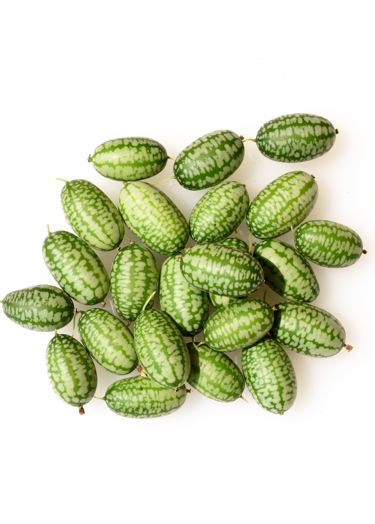 Mouse Melon Seeds, Grape-sized Edible Fruits, Cucamelon, Melothria scabra, Perennial Vine for Containers or Trellis