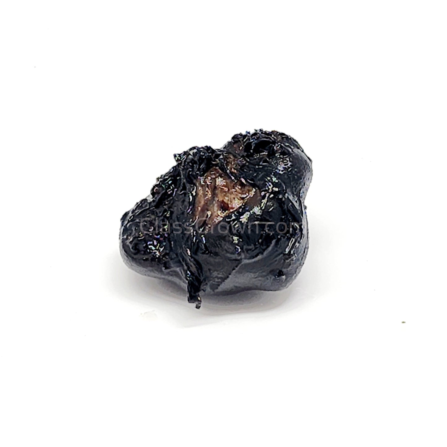 Dwarf Aquarium Lily Bulb