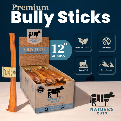 12" Jumbo Bully Sticks Display Box-1