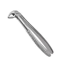 Dental Forcep #33