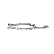 Dental Forcep #213