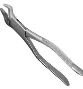 Dental Forcep #210S