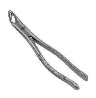 Dental Forcep #151A