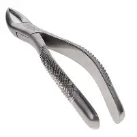 Dental Forcep #150
