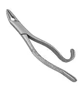 Dental Forcep #288