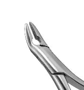 Dental Forcep #288