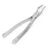 Dental Forcep #32A