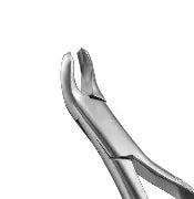 Dental Forcep #287