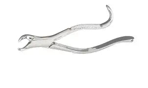 Dental Forcep #16
