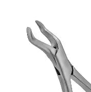 Dental Forcep #10H
