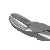 Dental Forcep #5