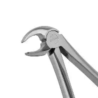 Dental Forcep #MD3