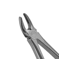 Dental Fopcep #MD2