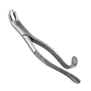 Dental Forcep #3F