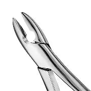 Dental Forcep #1