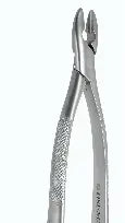 Dental Forcep #1