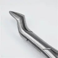 Dental Forcep #286