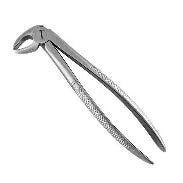 Dental Forcep #13