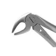 Dental Forcep #13