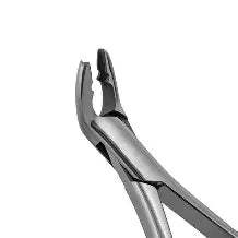 Dental Forcep #151AS