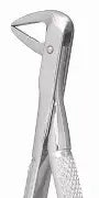 Dental Forcep #74N