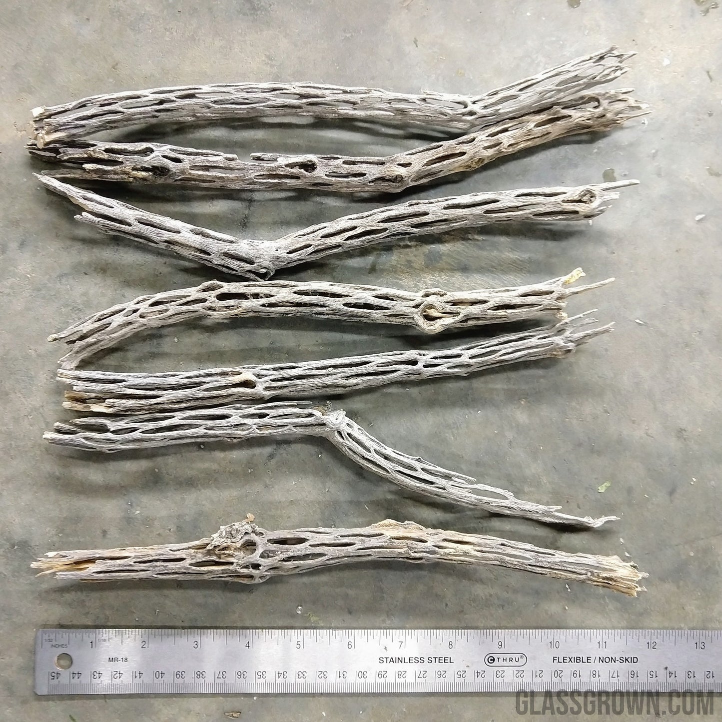 Organic Cholla Wood Logs