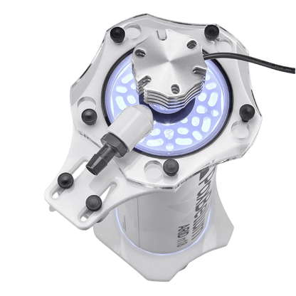 Pax Bellum ARID Reactor