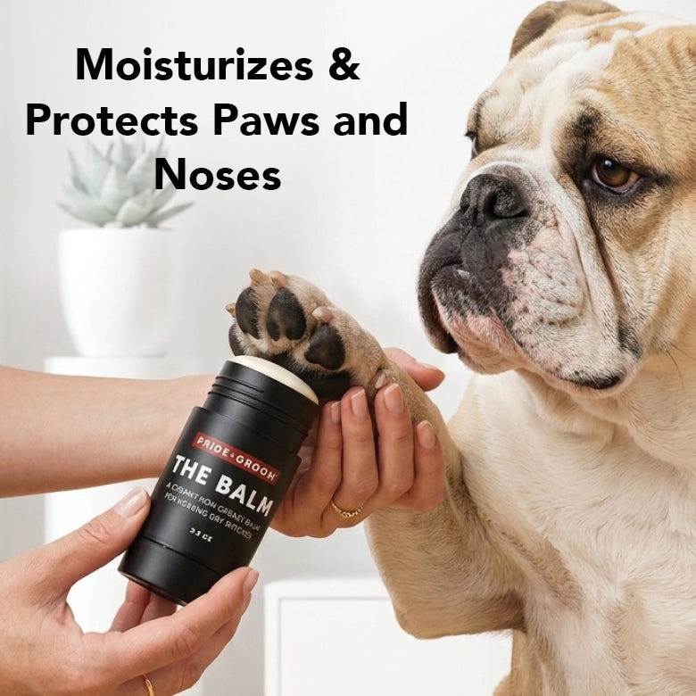 THE BALM Healing Pet Balm — Natural Paw & Nose Moisturizing Balm for Dogs & Cats