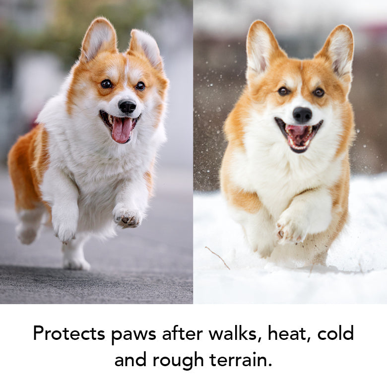 THE BALM Healing Pet Balm — Natural Paw & Nose Moisturizing Balm for Dogs & Cats