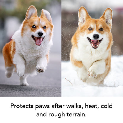 THE BALM Healing Pet Balm — Natural Paw & Nose Moisturizing Balm for Dogs & Cats