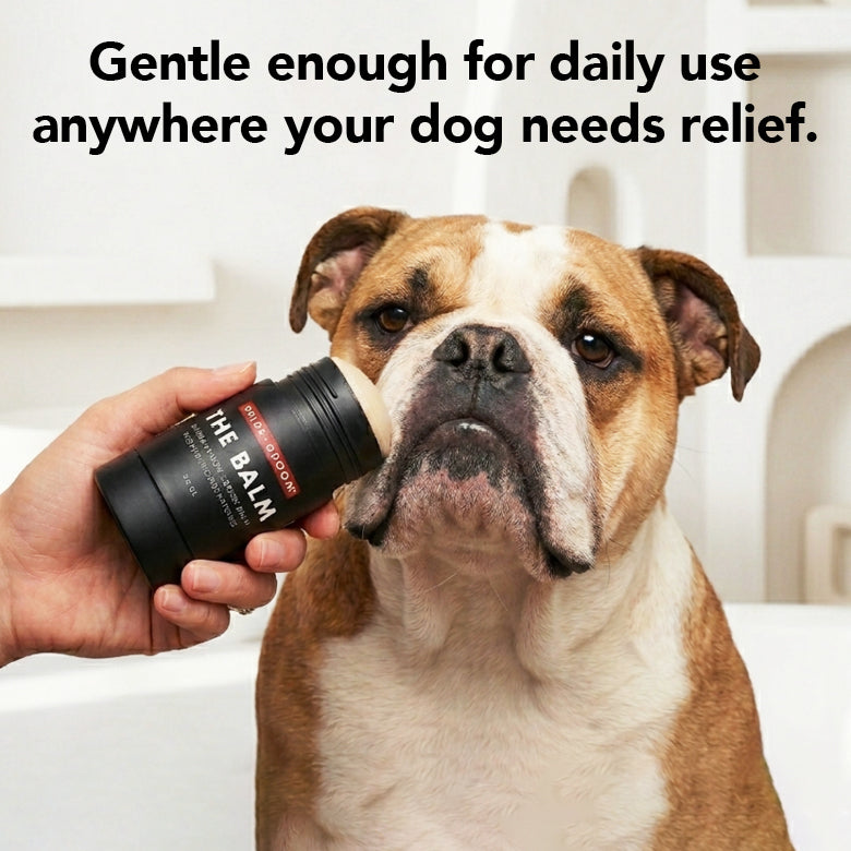 THE BALM Healing Pet Balm — Natural Paw & Nose Moisturizing Balm for Dogs & Cats
