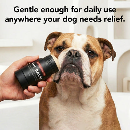 THE BALM Healing Pet Balm — Natural Paw & Nose Moisturizing Balm for Dogs & Cats