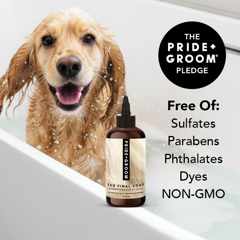 THE FINAL COAT Dog Conditioner — All-Natural, Vegan, Hypoallergenic Conditioner for a Soft, Shiny Coat