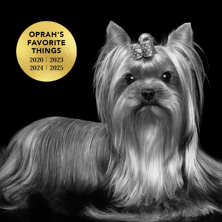 THE LEAVE IN Dog Detangling Leave in Spray — Detangling, Moisturizing & Conditioning Leave In Spray for Dogs