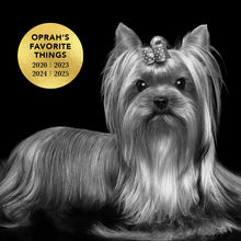 THE LEAVE IN Dog Detangling Leave in Spray — Detangling, Moisturizing & Conditioning Leave In Spray for Dogs