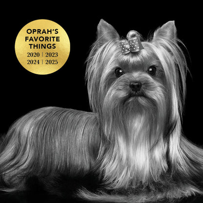 THE LEAVE IN Dog Detangling Leave in Spray — Detangling, Moisturizing & Conditioning Leave In Spray for Dogs