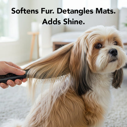 THE LEAVE IN Dog Detangling Leave in Spray — Detangling, Moisturizing & Conditioning Leave In Spray for Dogs